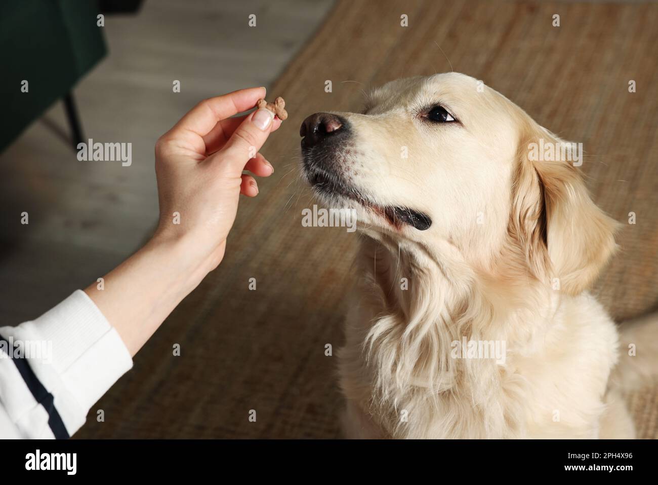 Dog clearance bone pill
