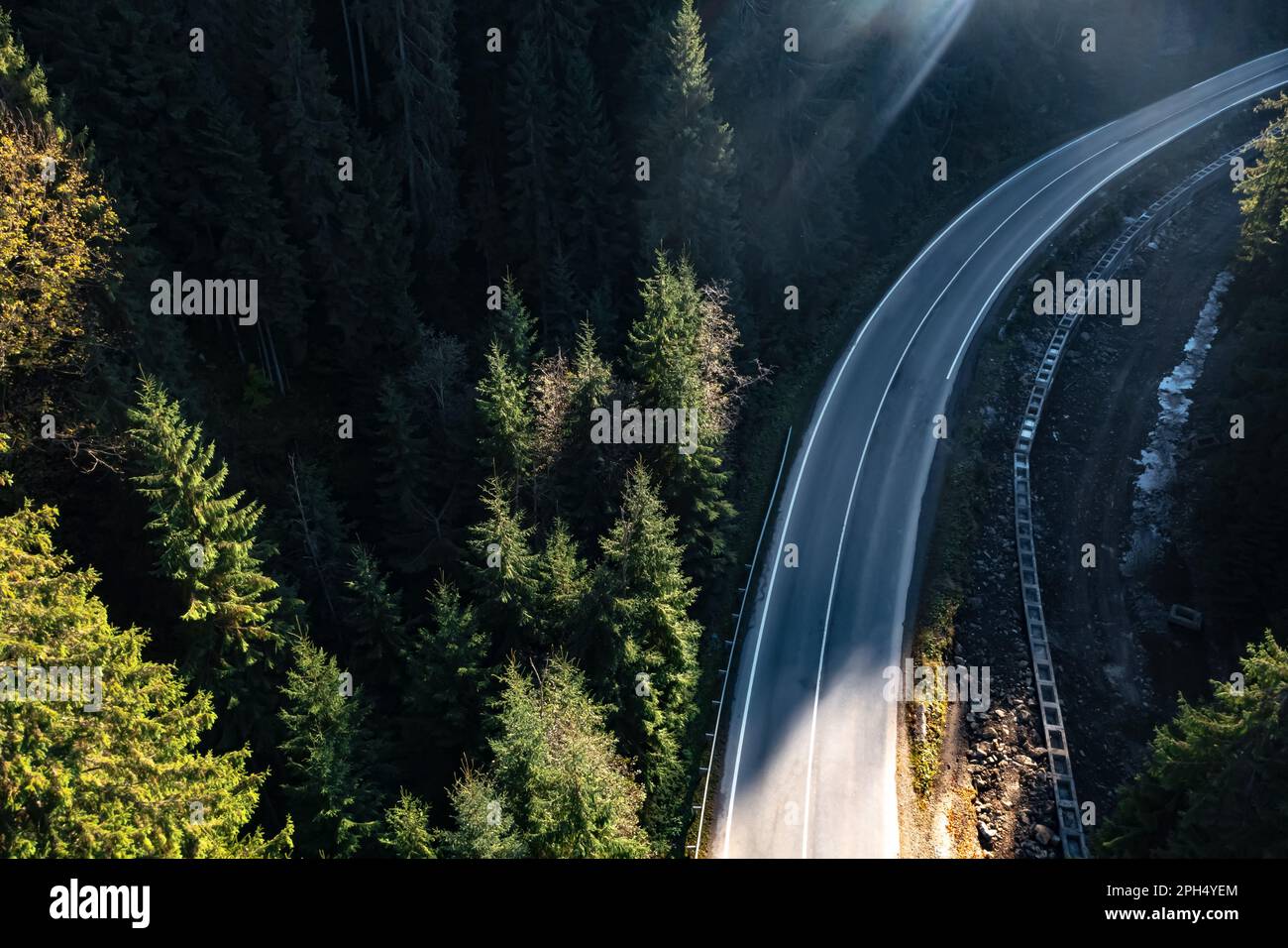 Aerial view of asphalt road surrounded by coniferous forest on sunny ...