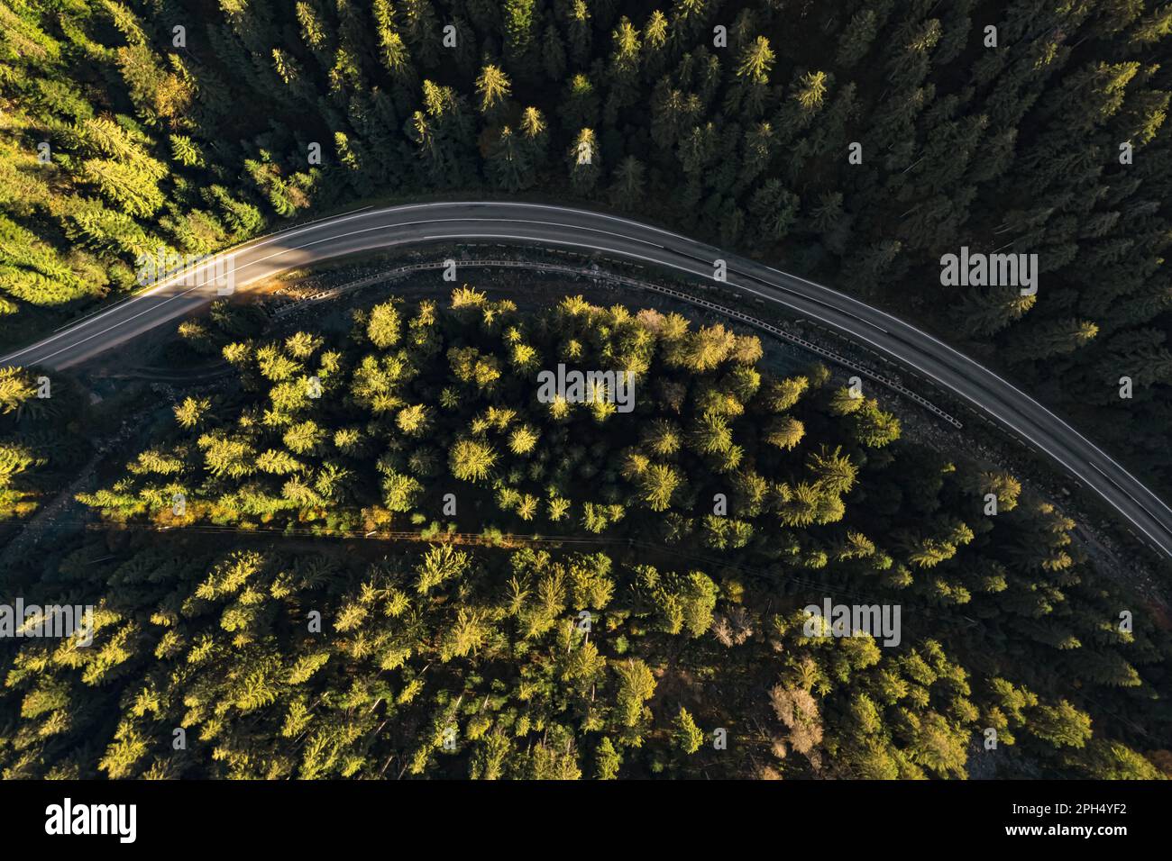 Aerial view of asphalt road surrounded by coniferous forest on sunny ...