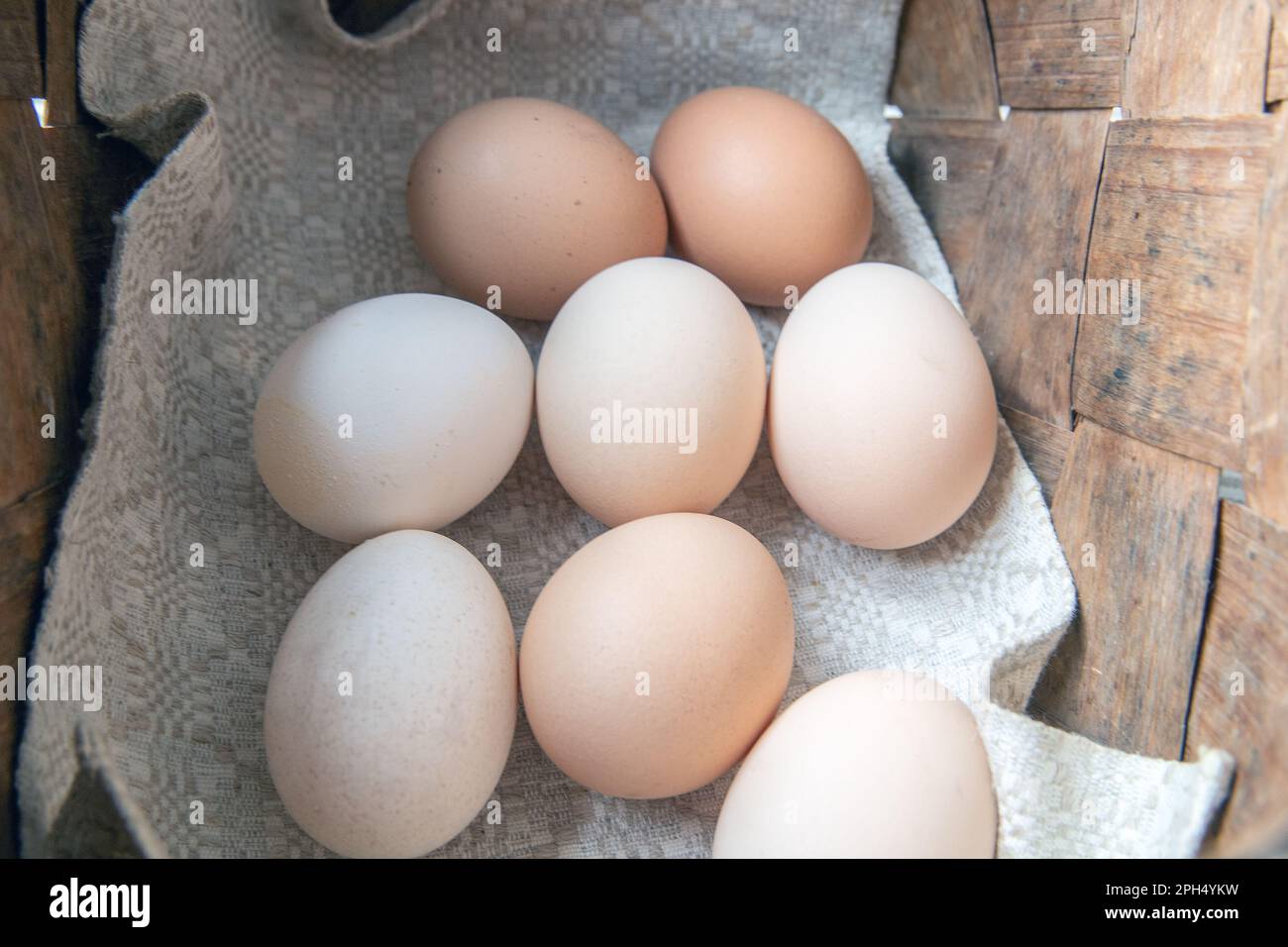 don’t put all your eggs in one basket. popular proverbs and sayings Stock Photo