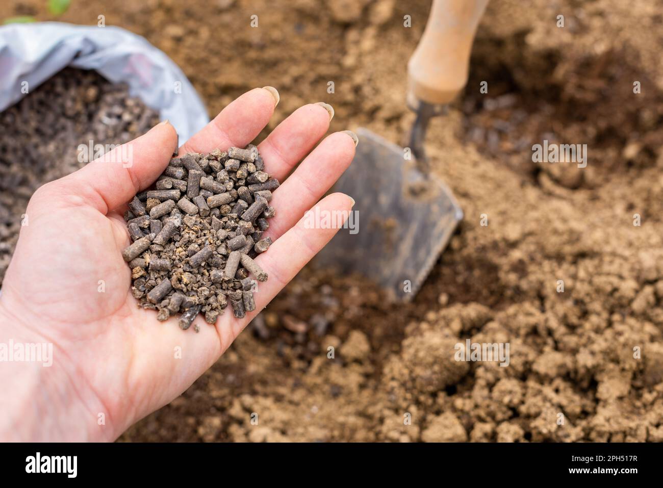 Eco friendly gardening background. Preparing soil for planting