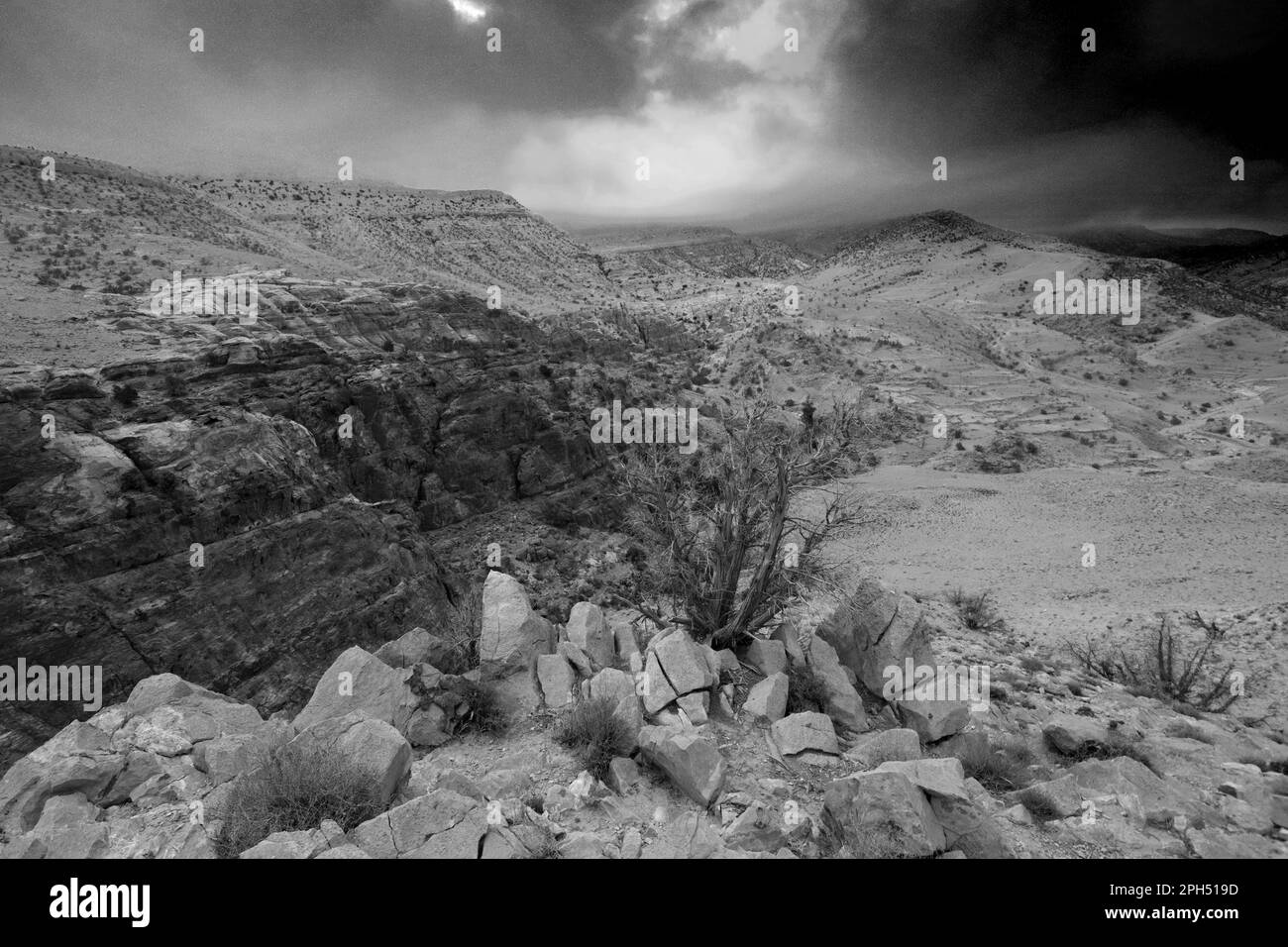 Feid Black and White Stock Photos & Images Alamy