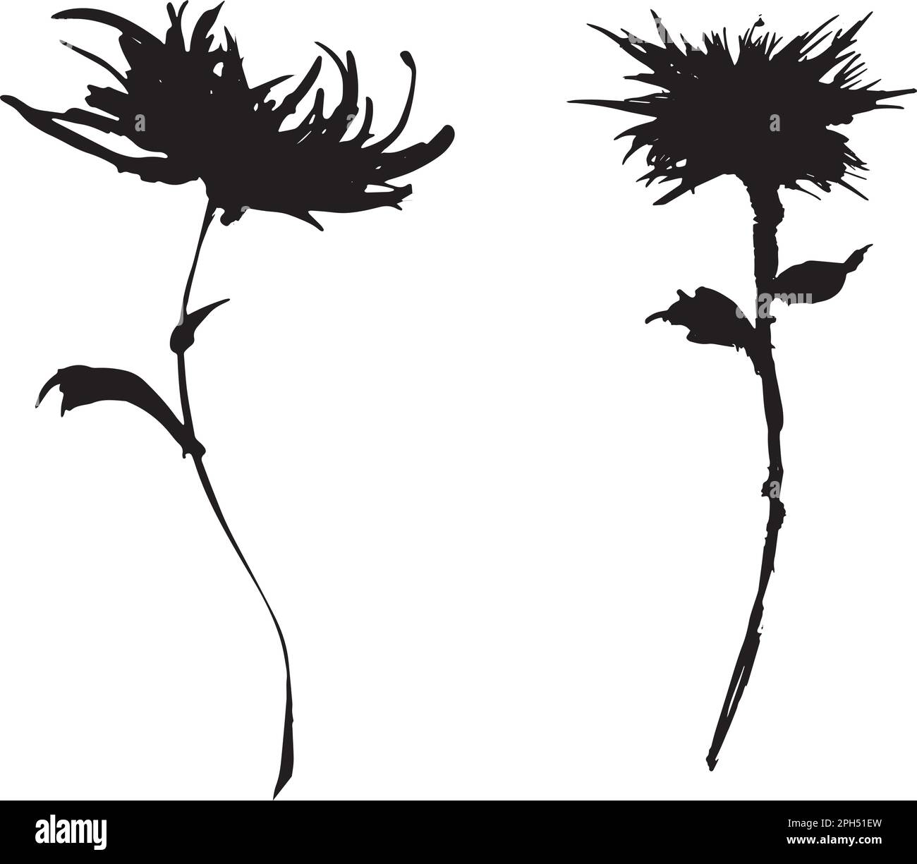 Chrysanthemum hand drawn black paint vector set. Ink drawing flowers and leaves. Stock Vector