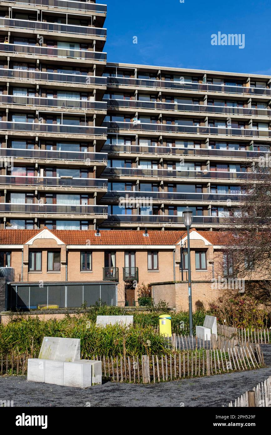 Evolution des prix de l'immobilier a la vente ou a la location. Contraste entre maison uni-familiale et immeuble a appartements  |  Housing in Brussel Stock Photo