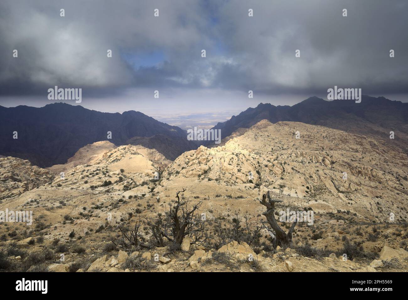 Abu mahmoud hi-res stock photography and images - Alamy
