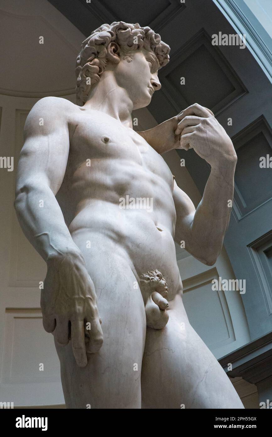 Florence, Italy - Jun 17, 2014: Tourist visit the Accademia Gallery, home to the masterpiece of Renaissance sculpture David, created in marble between Stock Photo