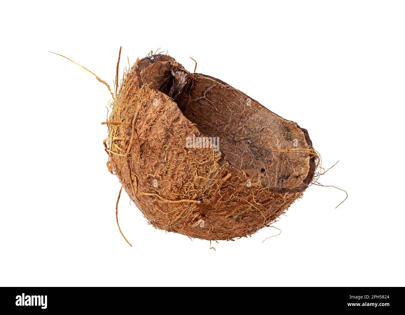 Brown dry coconut shell half isolated on white background. Stock Photo