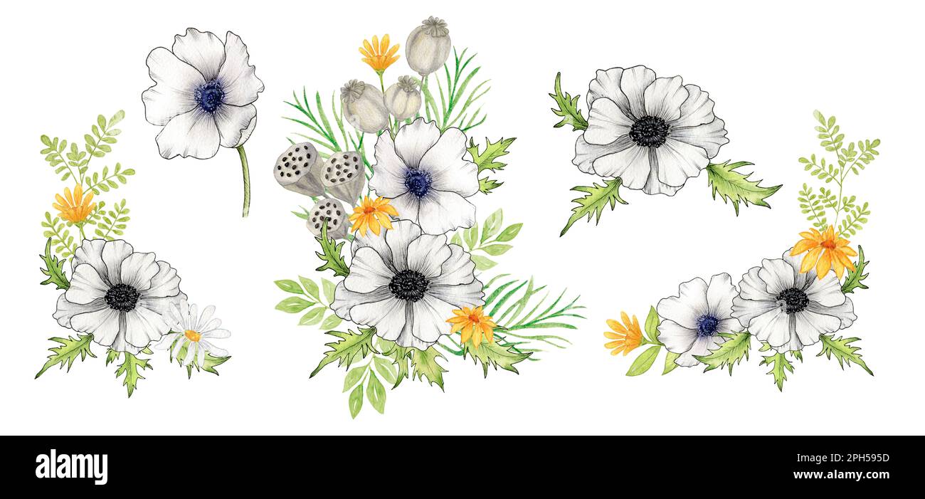 Watercolor Dried Wildflowers Clipart Collection - Design Cuts