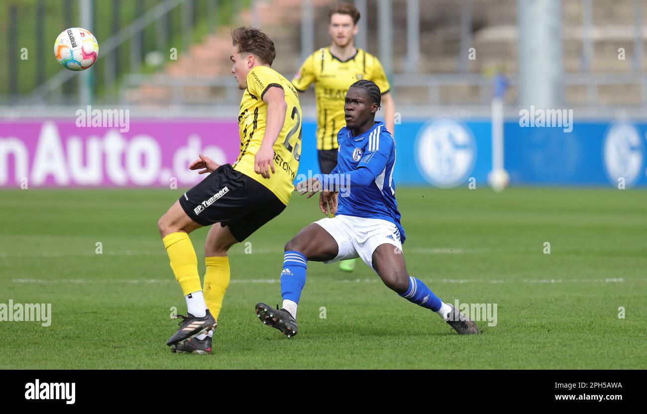 Gelsenkirchen, Deutschland. 24th Mar, 2023. firo 03/24/2023, football