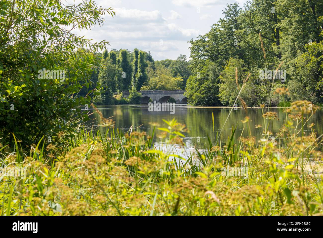 Virginia Water Lake, Virginia Water, Surry, UK Stock Photo Alamy