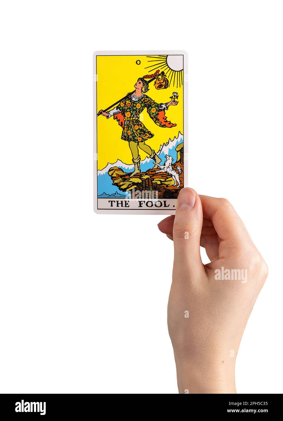 Fool, major tarot card, arcana in hand isolated on white background. Stock Photo