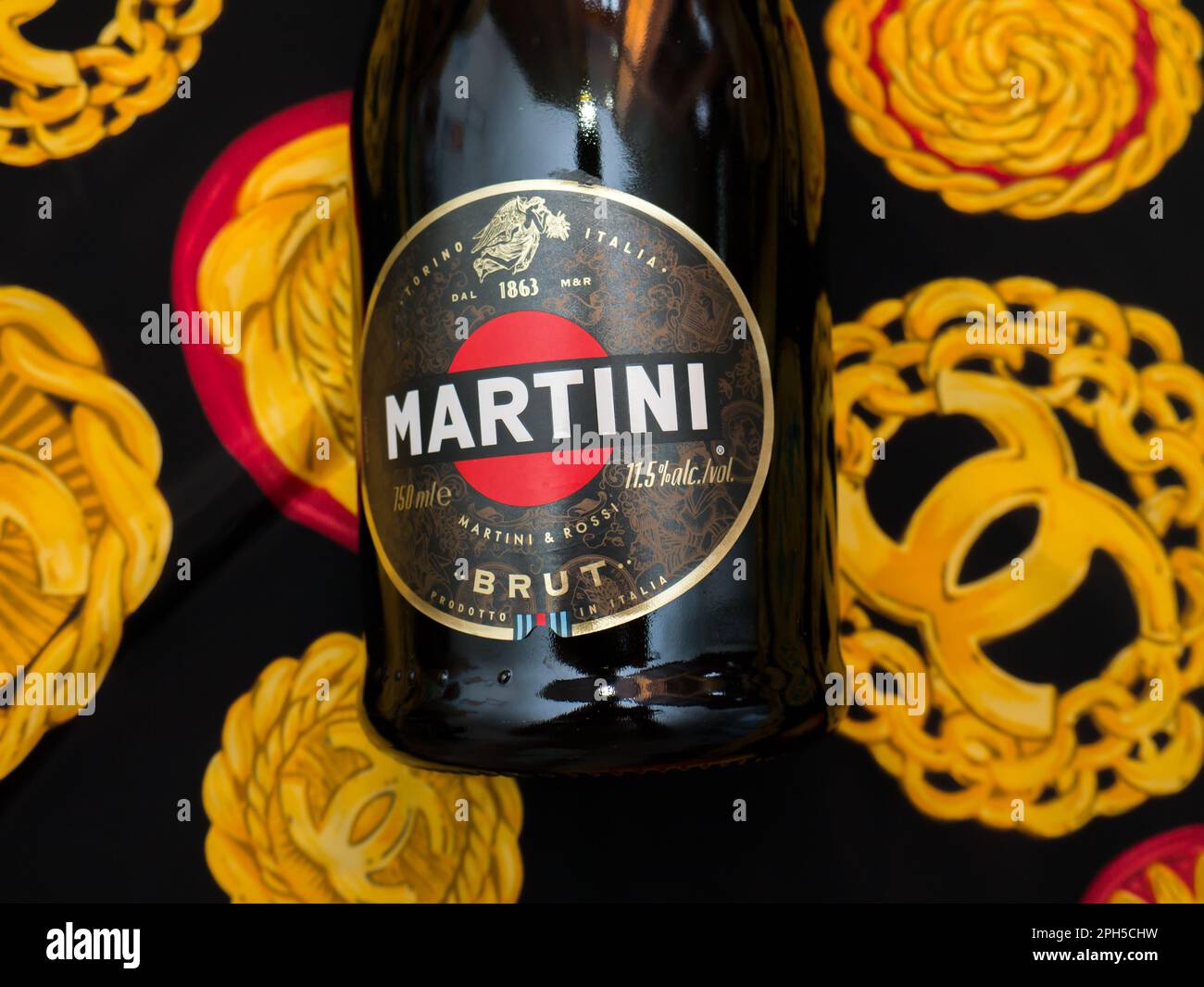 Champagne Martini Brut. Martini is a brand of Italian vermouth, named