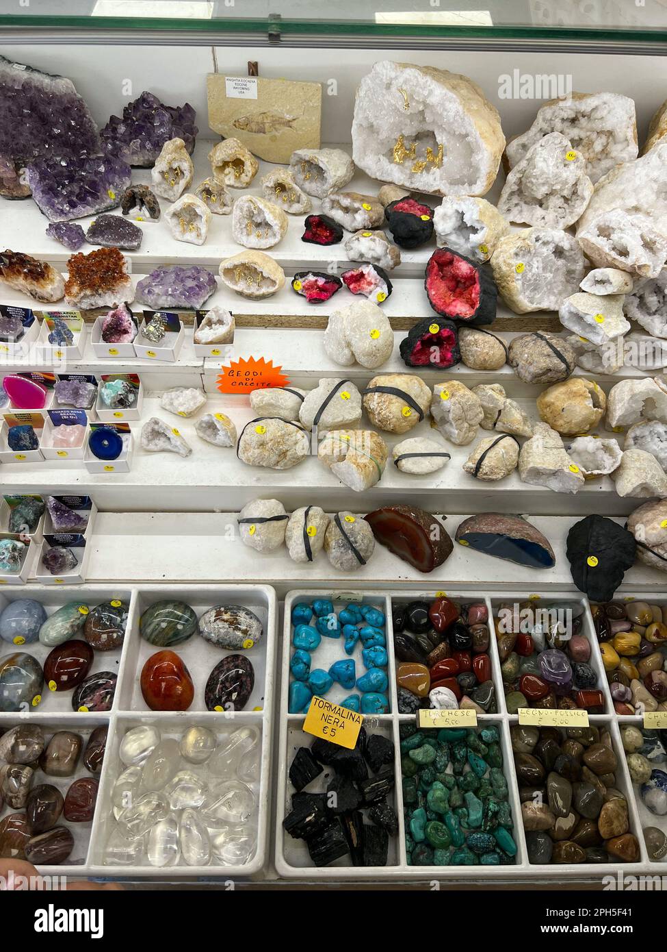 Minerals and Fossils Shopping. Colorful Rocks and Minerals are