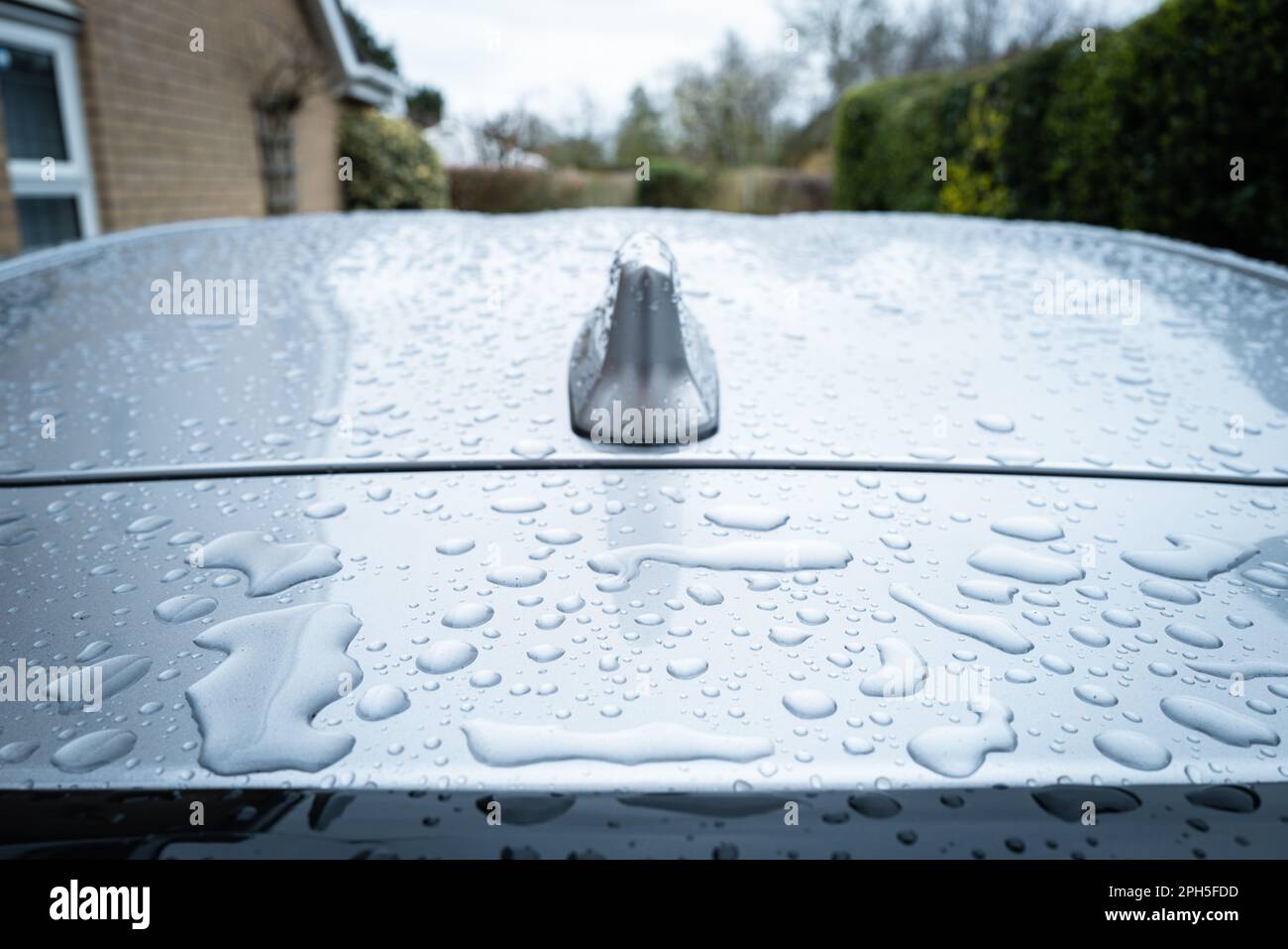 Shallow focus of large water droplets seen on the rear roof area of a hybrid car. Taken after a car wash and seen on a private driveway. Stock Photo