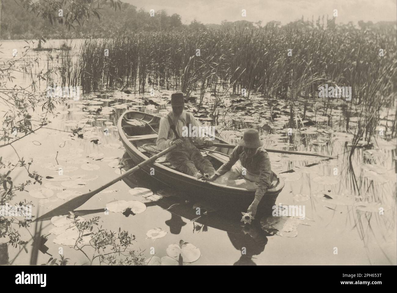 Gathering Water-Lilies 1886 by Peter Henry Emerson Stock Photo
