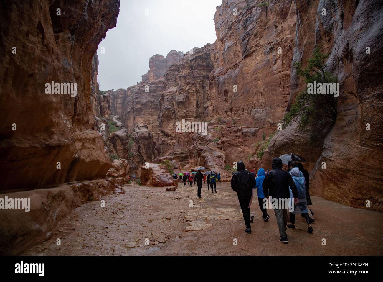 Walking towards the Treasury Building at Petra (in the rain) Stock Photo