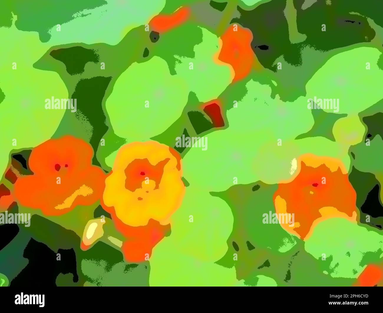 Abstract image of nasturtium foliage and flowers, the image controlled to reduce tonal range and provide an artistic print-like image. October 2022. Stock Photo