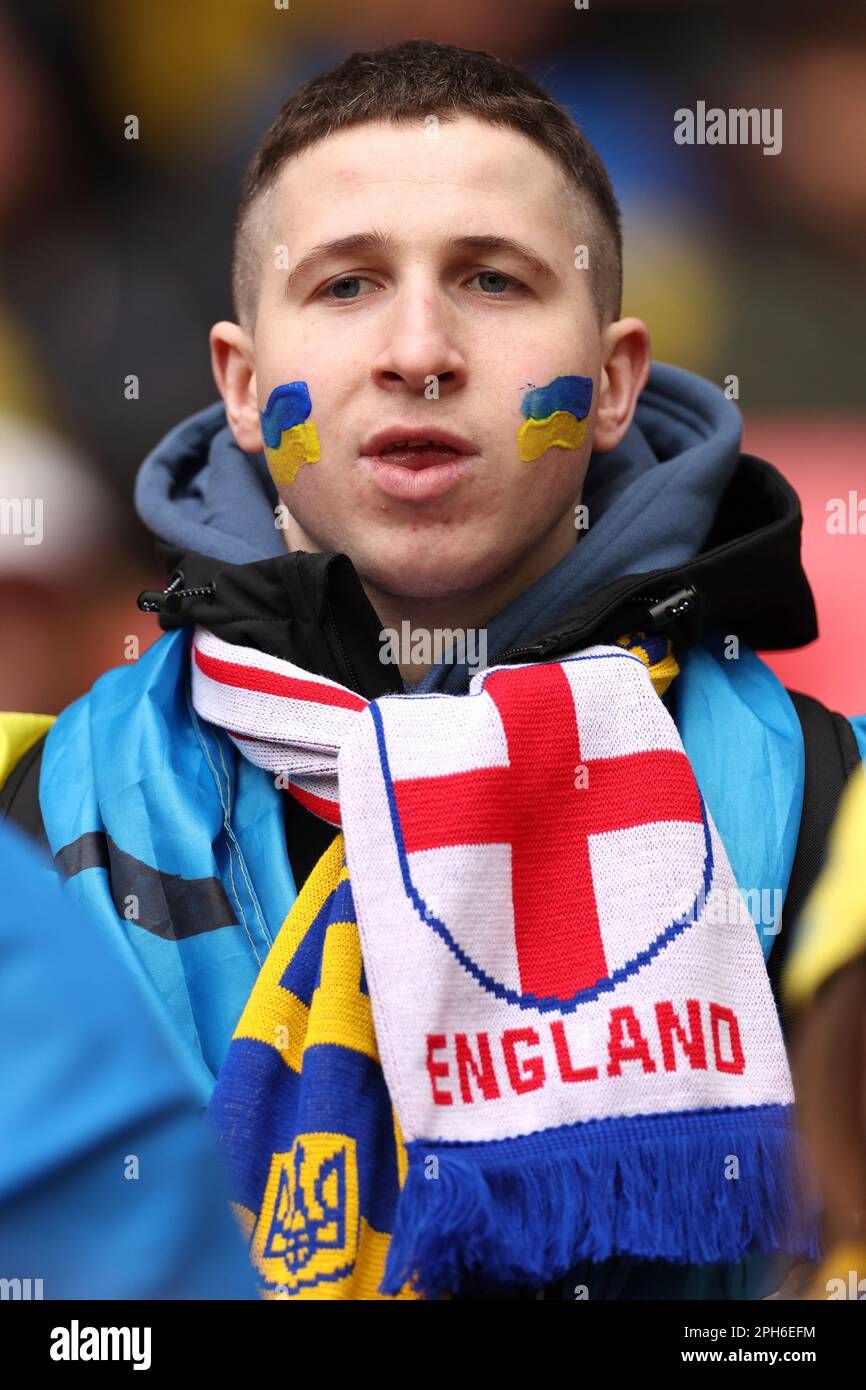 A fan watches the Euro 2024 group C qualifying soccer match between