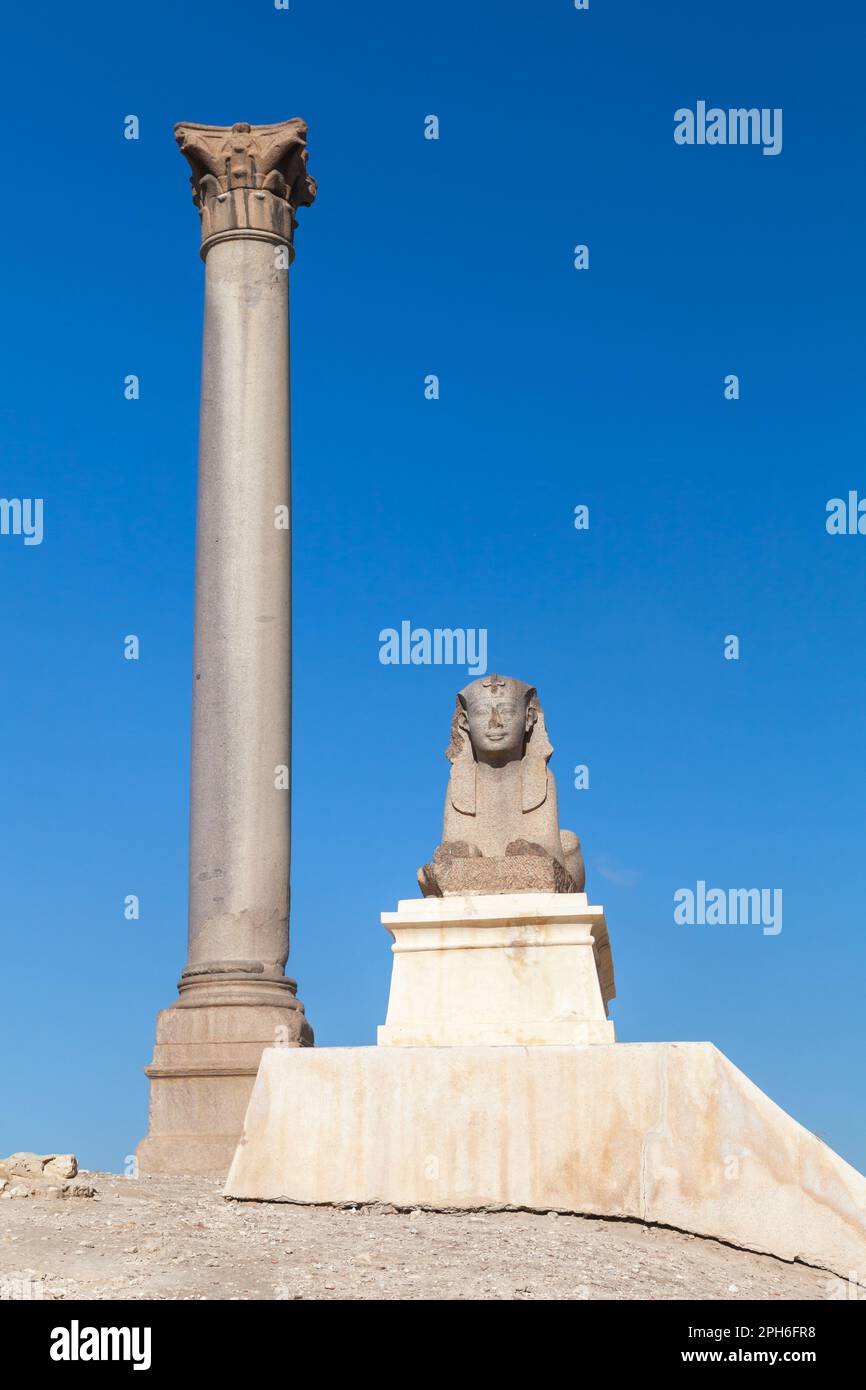 Ancient Egyptian Sphinx statue with Pompeys Pillar on a background, vertical photo. Alexandria, Egypt Stock Photo