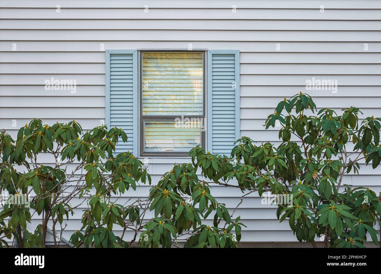 Modern residential window with shutters and trees in a garden. Glass window frame house exterior on white wall. Nobody, street photo. Garden with gree Stock Photo