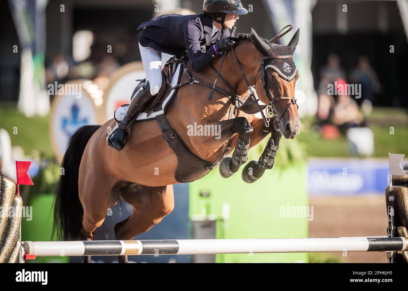 A rider competes during the international Major League Show Jumping