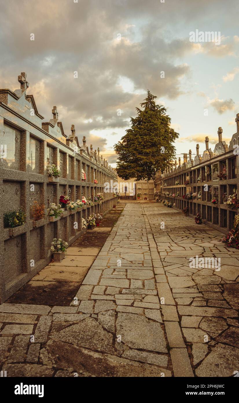 Walk from a cemetery Stock Photo Alamy