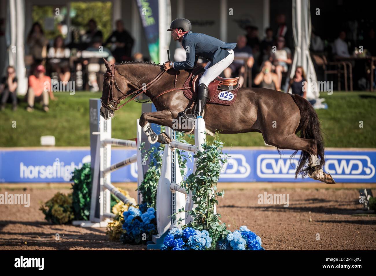 Daniel Bluman from Isreal competes on the Major League Show Jumping ...