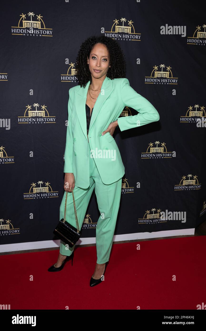 Los Angeles, USA. 25th Mar, 2023. Actress Ashley Lauren Nedd attends