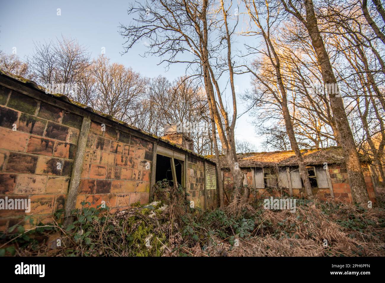 Checkendon camp hi-res stock photography and images - Alamy