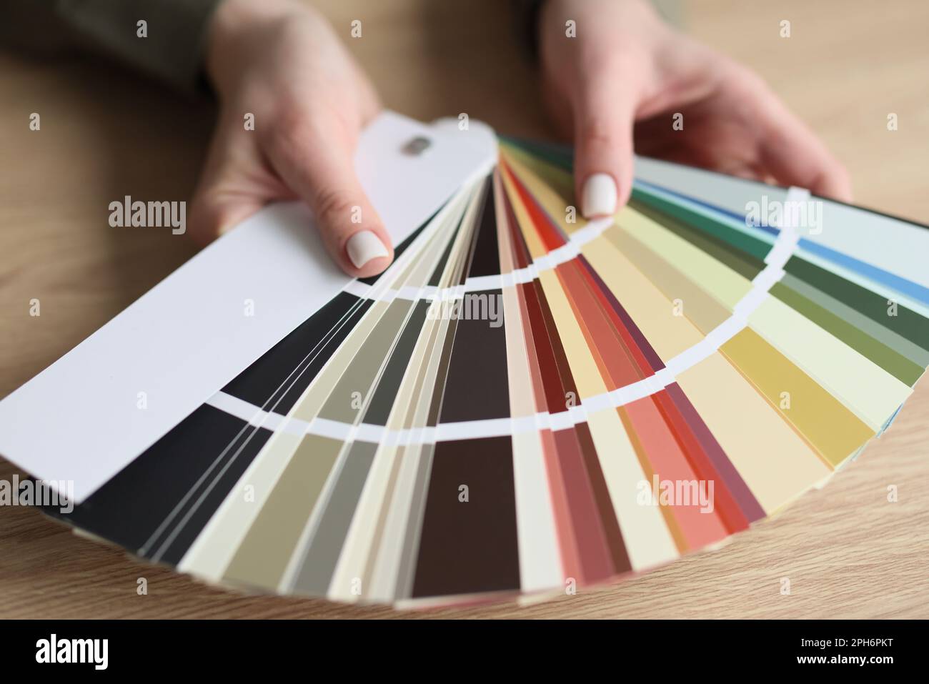 Hands of woman holding color palette for interior design Stock Photo
