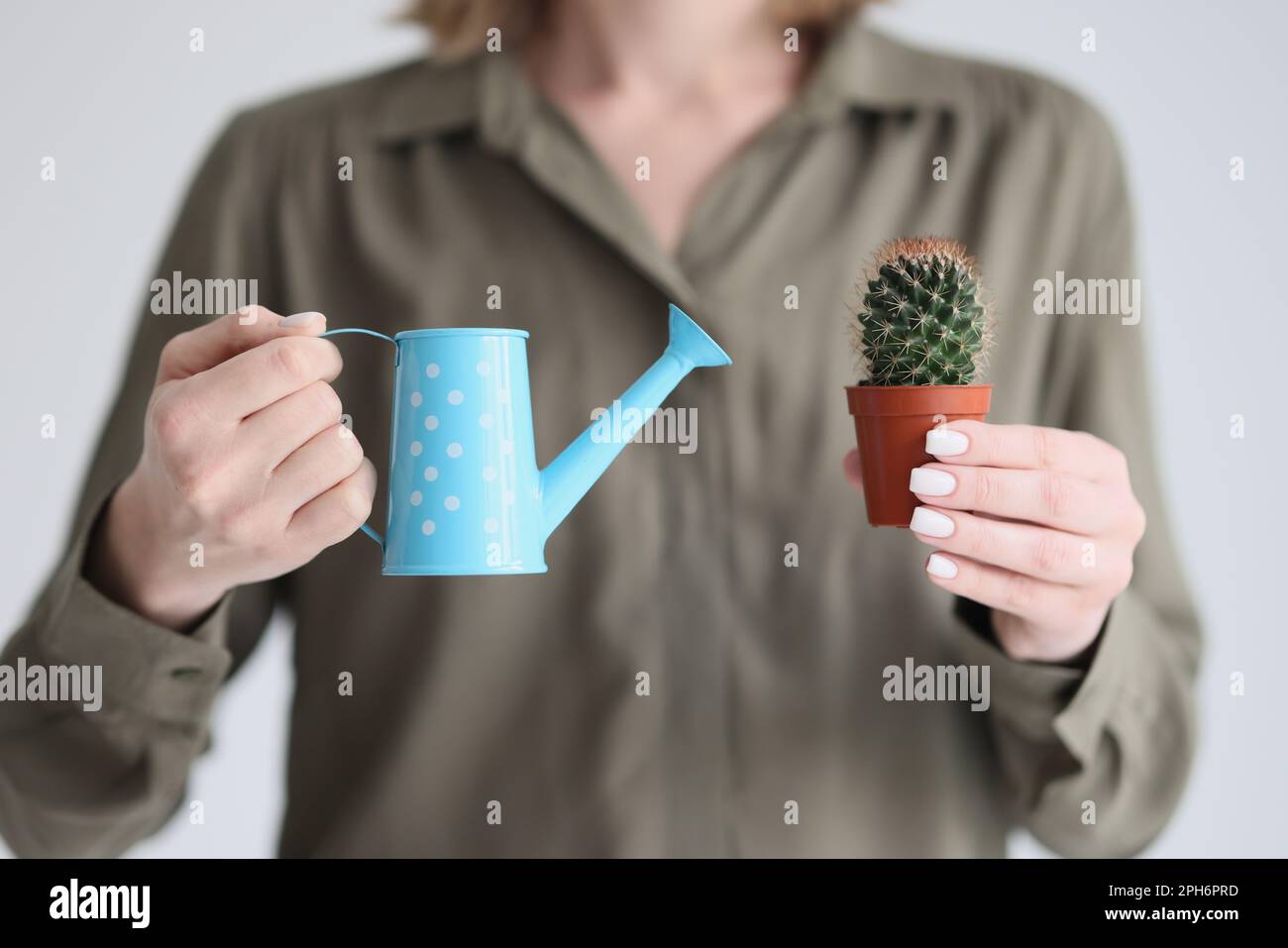 Woman holds blue watering can and spiked cactus in pot Stock Photo