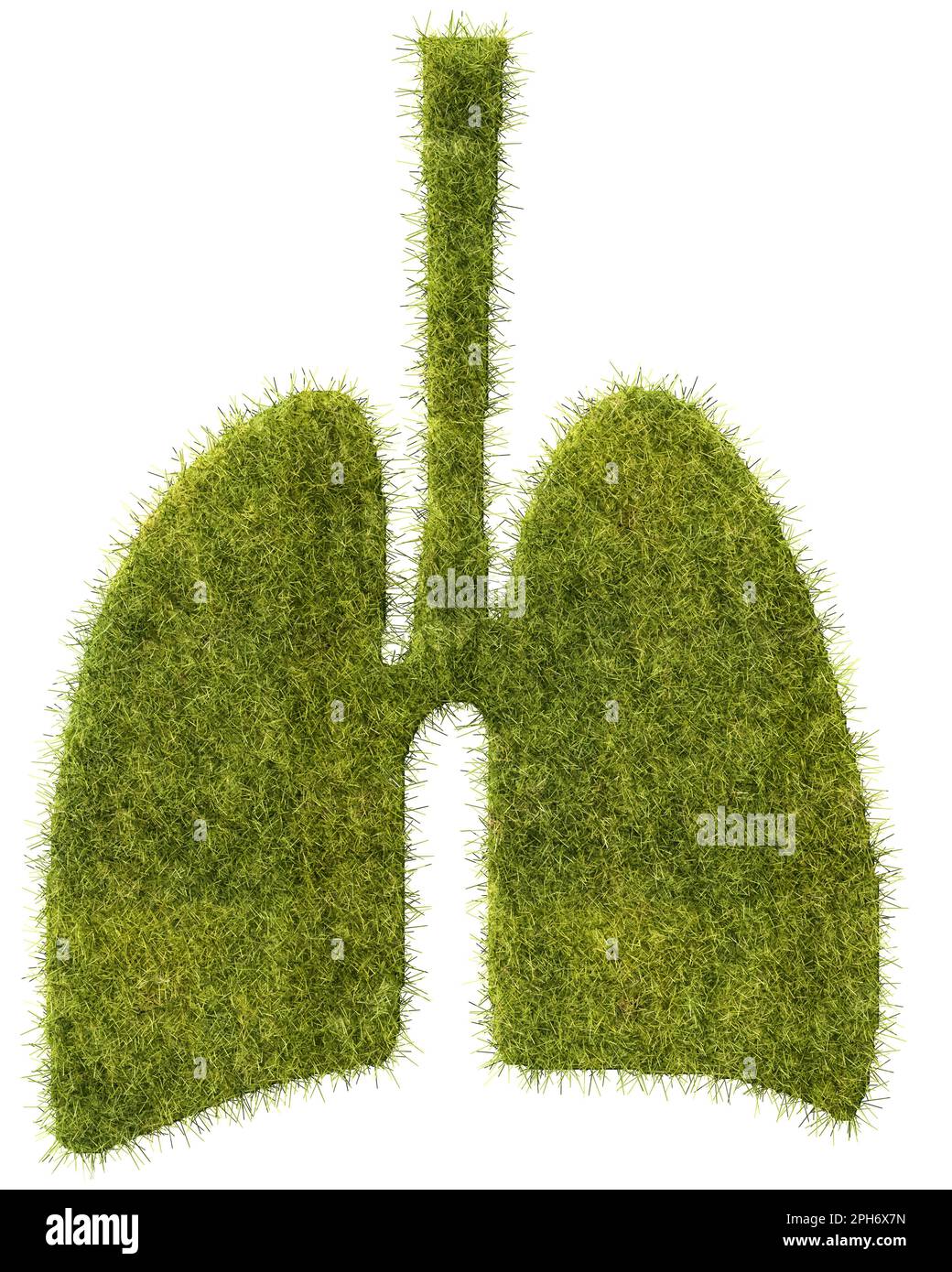 Green lung concept. A patch of grass in the form of a human lung. Isolated on white background Stock Photo