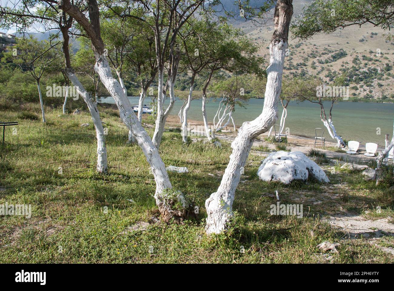 Whitepainted tree trunks and stones on the edge of water makes for an