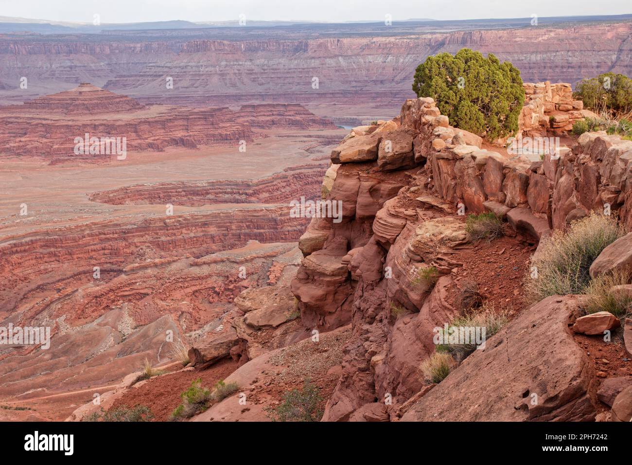 Canyons, as seen from Dead Horse Point State Park, Utah, USA Stock Photo