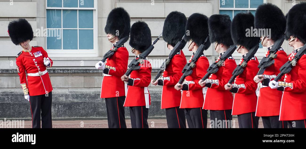 London, UK. 28th Oct, 2022. A soldier of the Royal Guard aligns the
