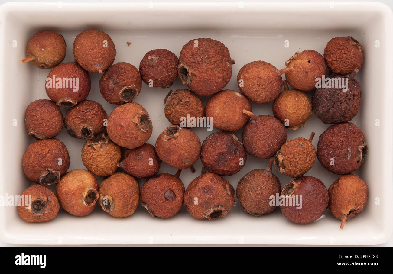 Dried rosehip berries in a white cup. Top of view and close up Stock