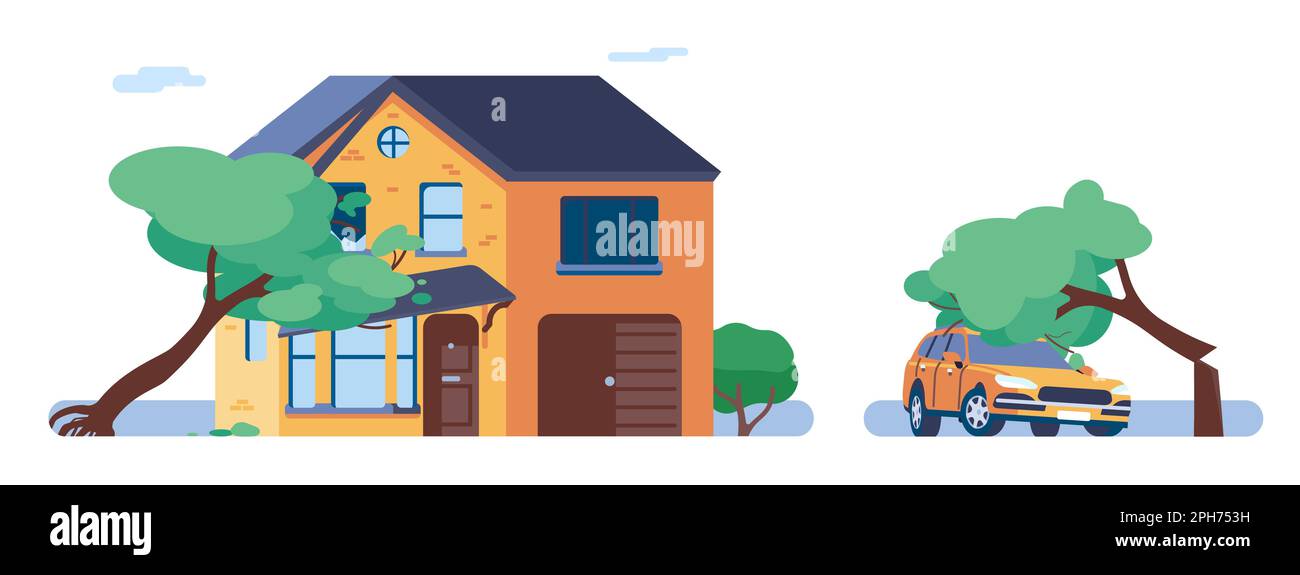 Broken tree fell on car. Trunk collapsed on house and destroyed it