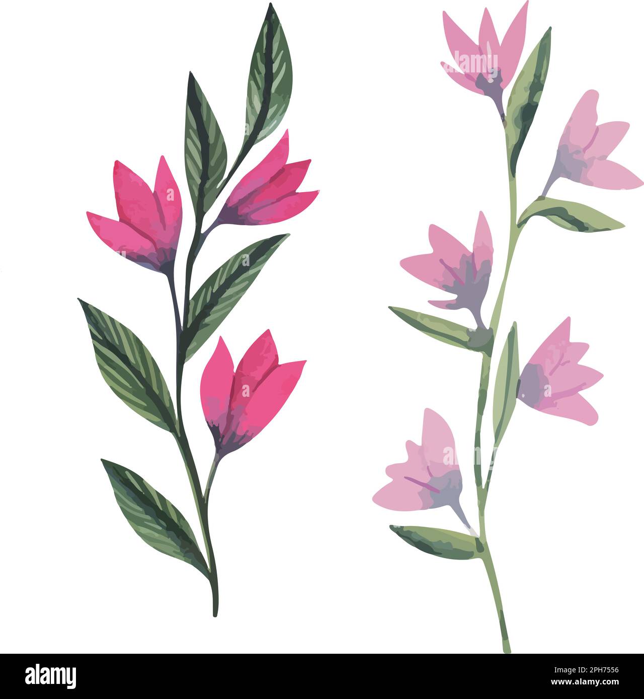 Set of beautiful hand drawn flowers in retro style Stock Vector Image ...