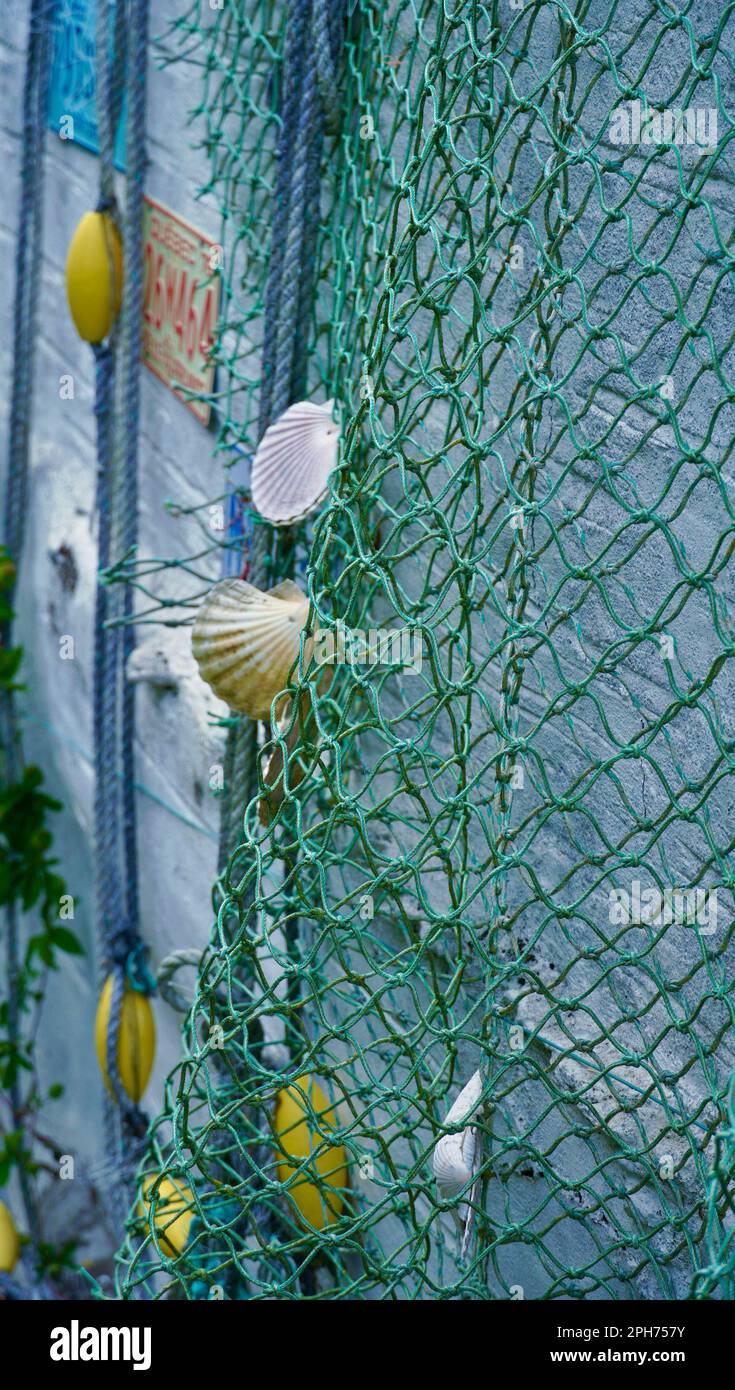 White mesh net, Fishing net Fisherman, Shell Decorative fishing