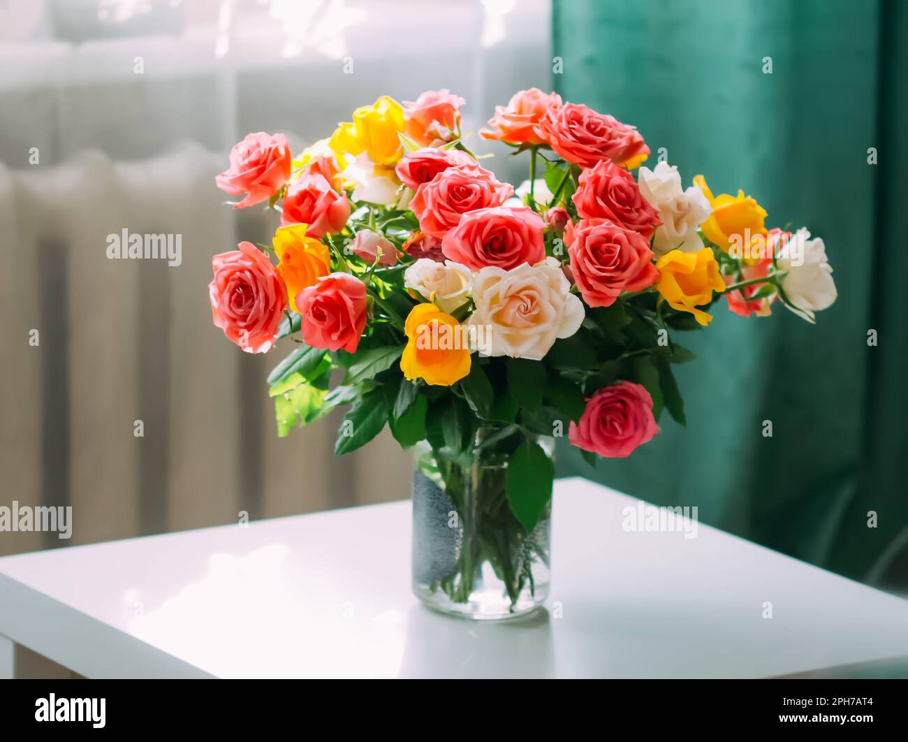 Beautiful garden rose flowers. Bright bouquet in home interior Stock ...