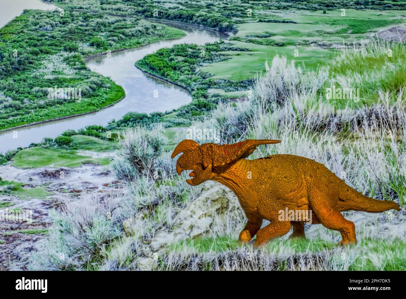 Einiosaurus was a medium-sized ceratopsian that lived in the Campanian Age of the Upper Cretaceous, between 83.5 and 70.6 million years ago. Stock Photo