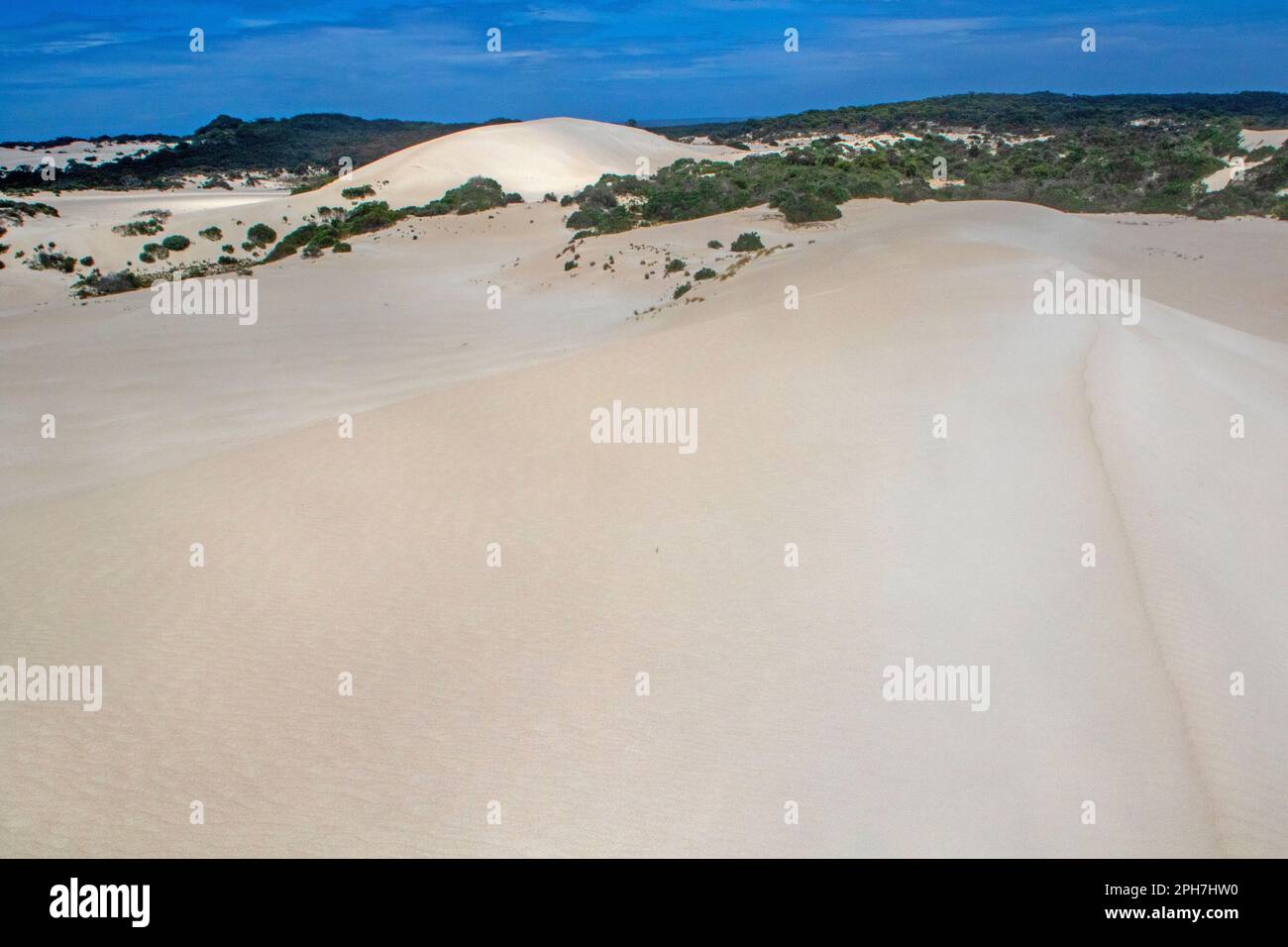 Sand dunes at Little Sahara, Kangaroo Island Stock Photo