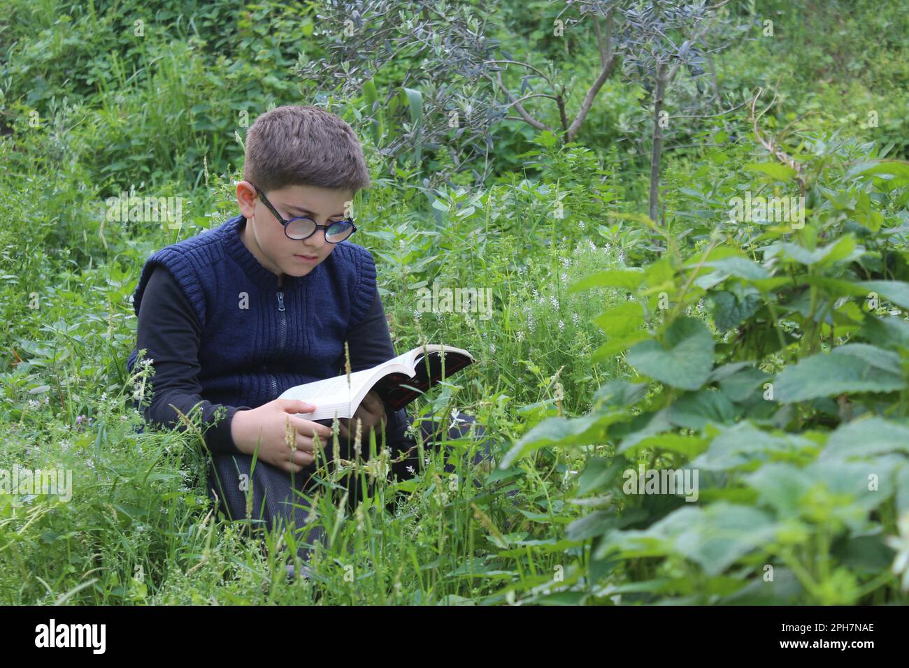 A boy is reading a book in nature. Relaxing on the grass in the garden. Stock Photo