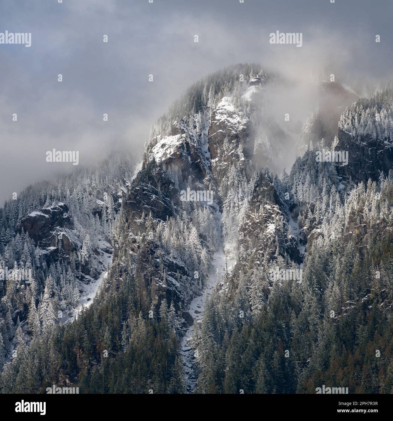 Snow on forested mountainside with low cloud on peak in Washington Cascade Mountains Stock Photo