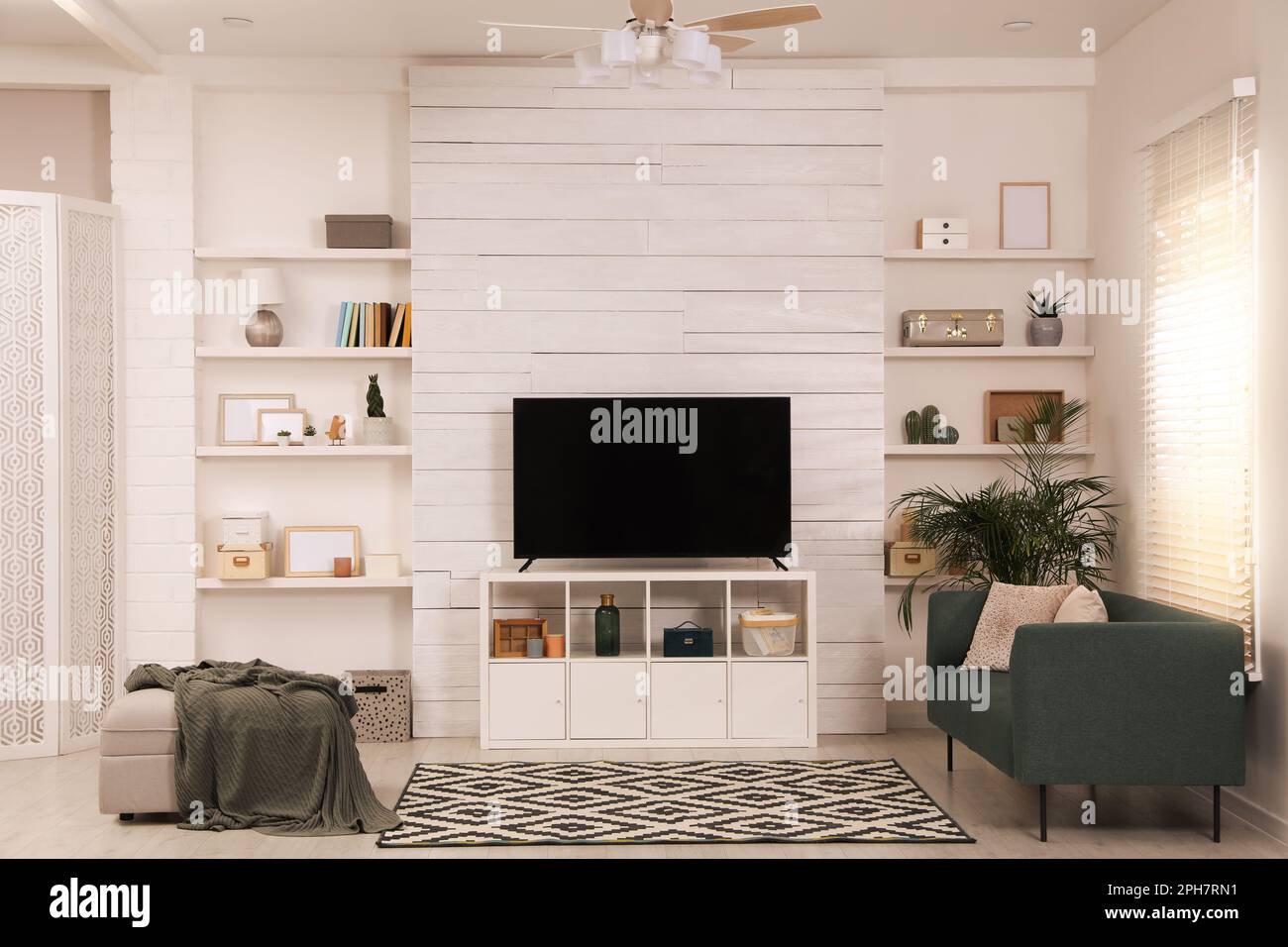 Modern TV on cabinet, comfortable sofa and decor elements in living