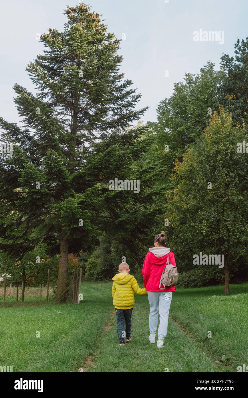 Beautiful family -Mom with small son on a walk in autumn sunny nature. Happy couple holding hands. Back view. Young mother with her little baby boy ha Stock Photo