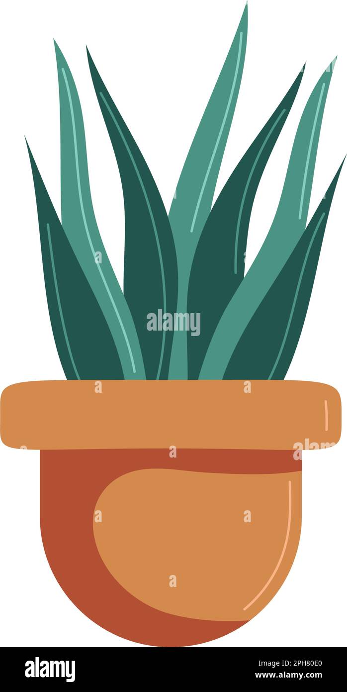 houseplant in classic pot icon Stock Vector Image & Art - Alamy