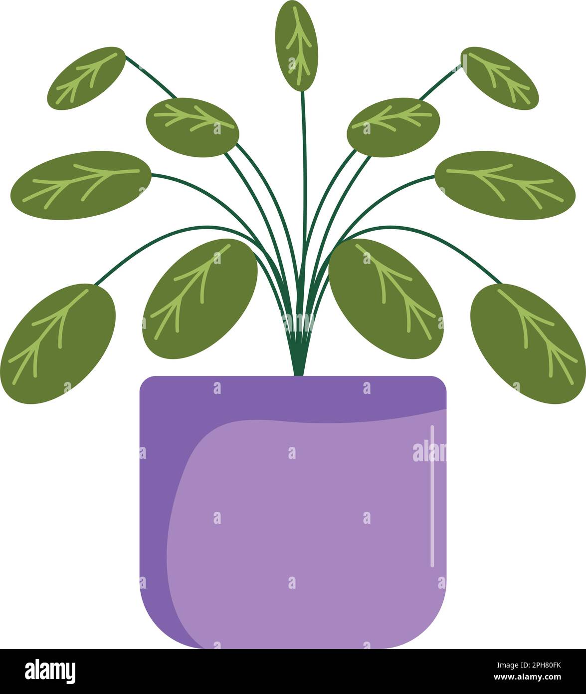 houseplant in purple pot nature icon Stock Vector Image & Art - Alamy