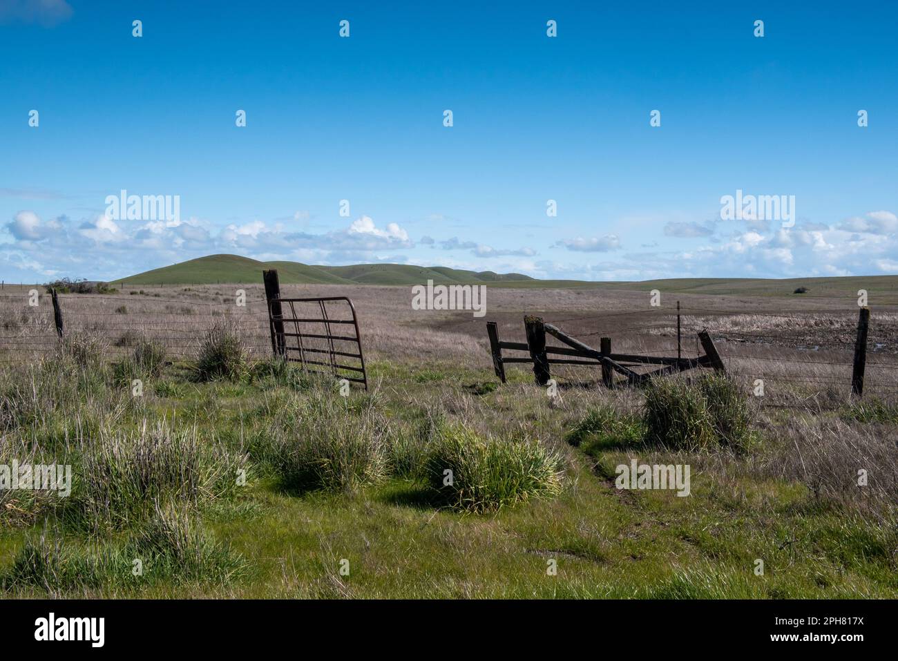 An open gate in a pasture with mostly brown grass indicating the end of the grazing season in California’s Central valley, with rolling hills in the b Stock Photo
