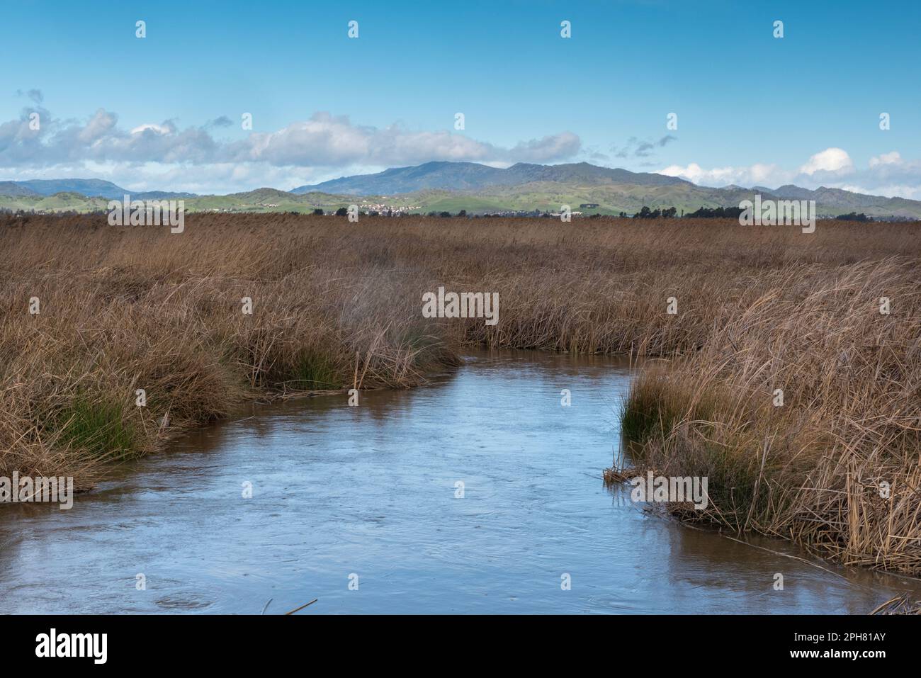 Blackish Marsh slough along Grizzly island  road area on a  blue sky aday nd plenty of sky copy-space Fairfield, California, USA, the mountains in the Stock Photo